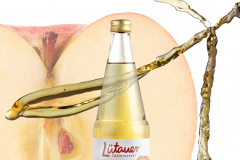 XApfelsaft-Montge-c